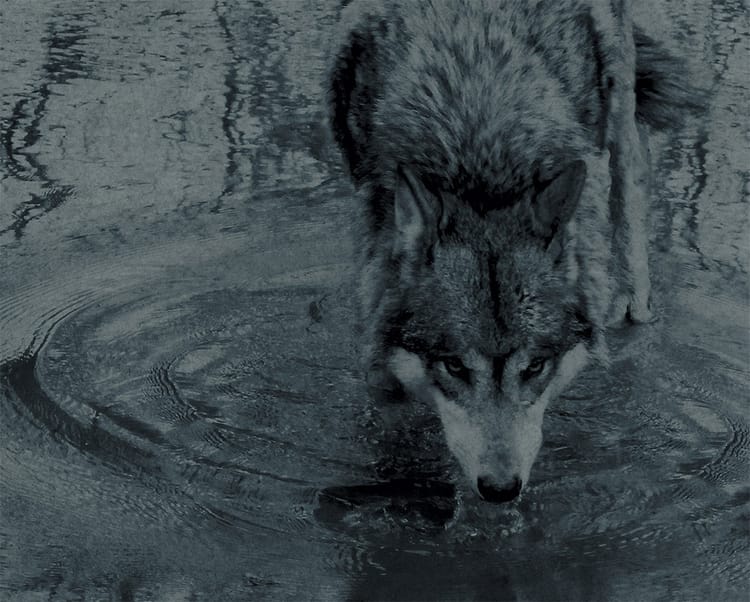The Clouds Will Clear – Recollection Of What Never Was